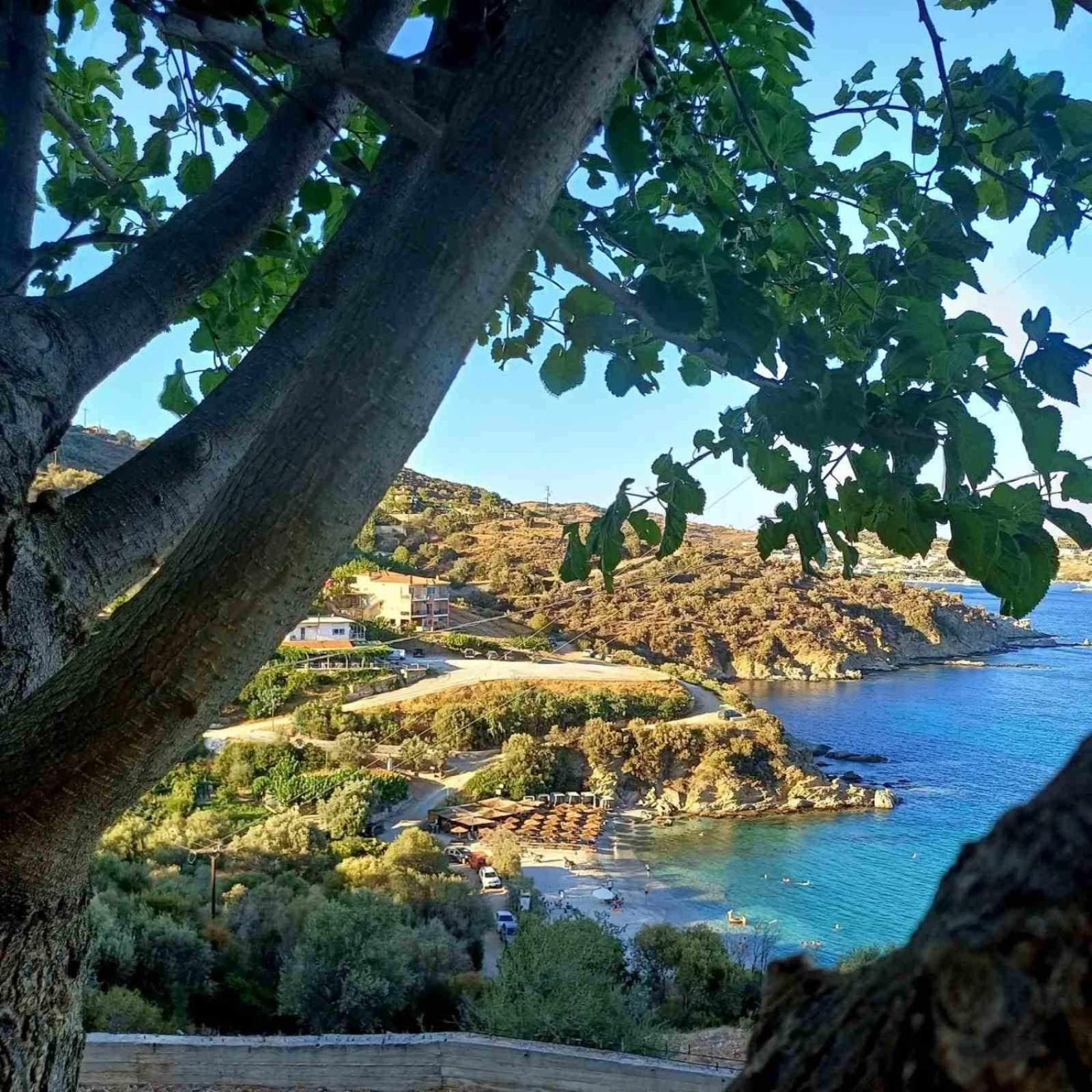 Aegean Beachfront Petriaí Exteriör bild